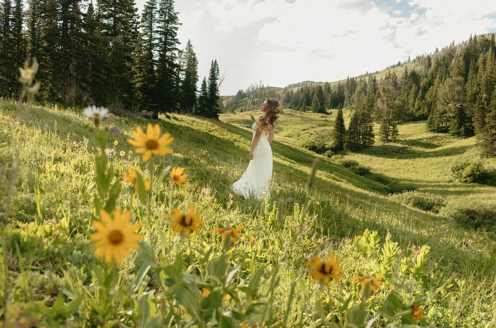 LATE SUMMER MOUNTAIN PORTRAITS