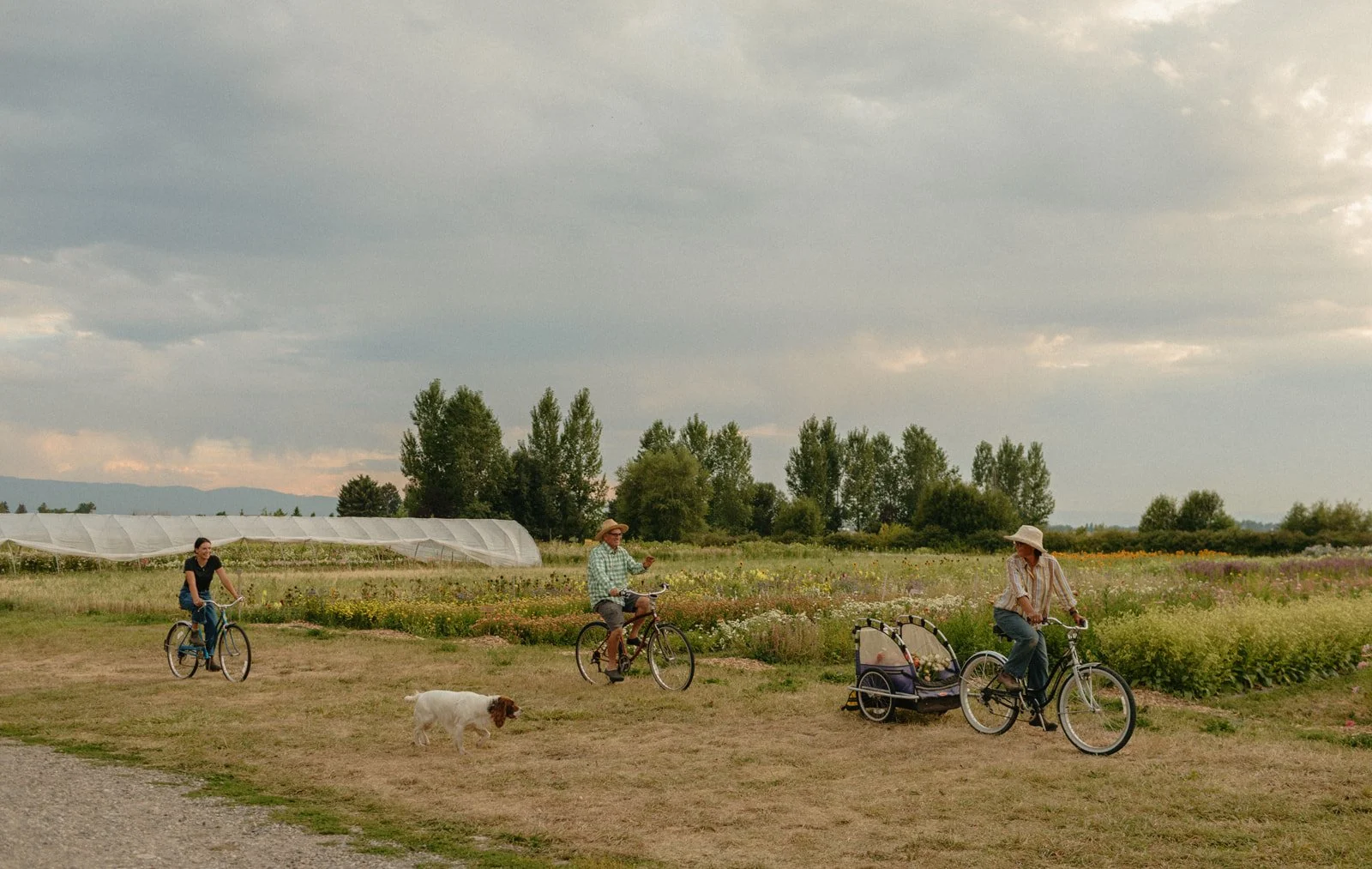 LATE SUMMER FLOWERS AT 4 DAUGHTERS