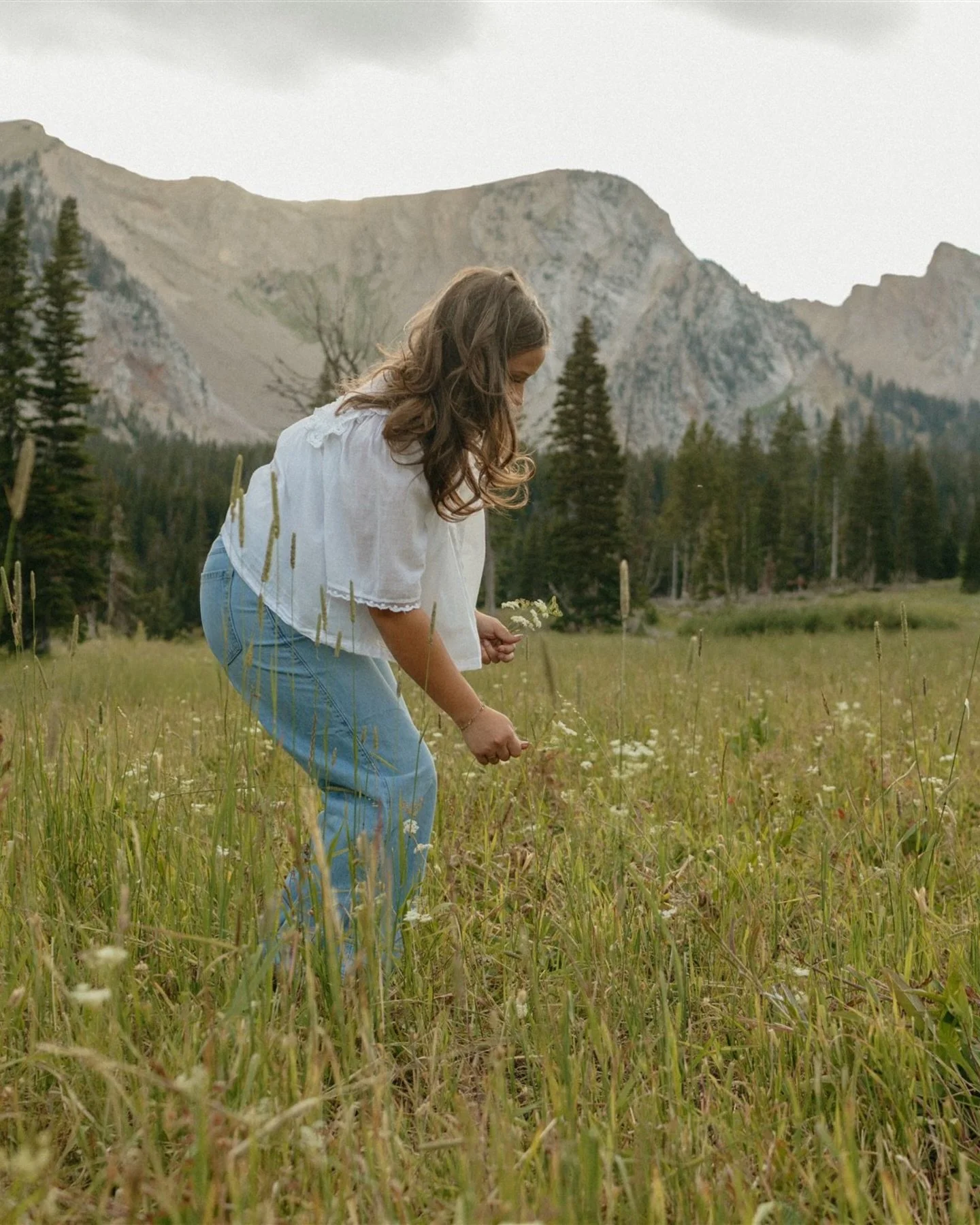 The greens! Of sweet July in the mountains 🥹🌱