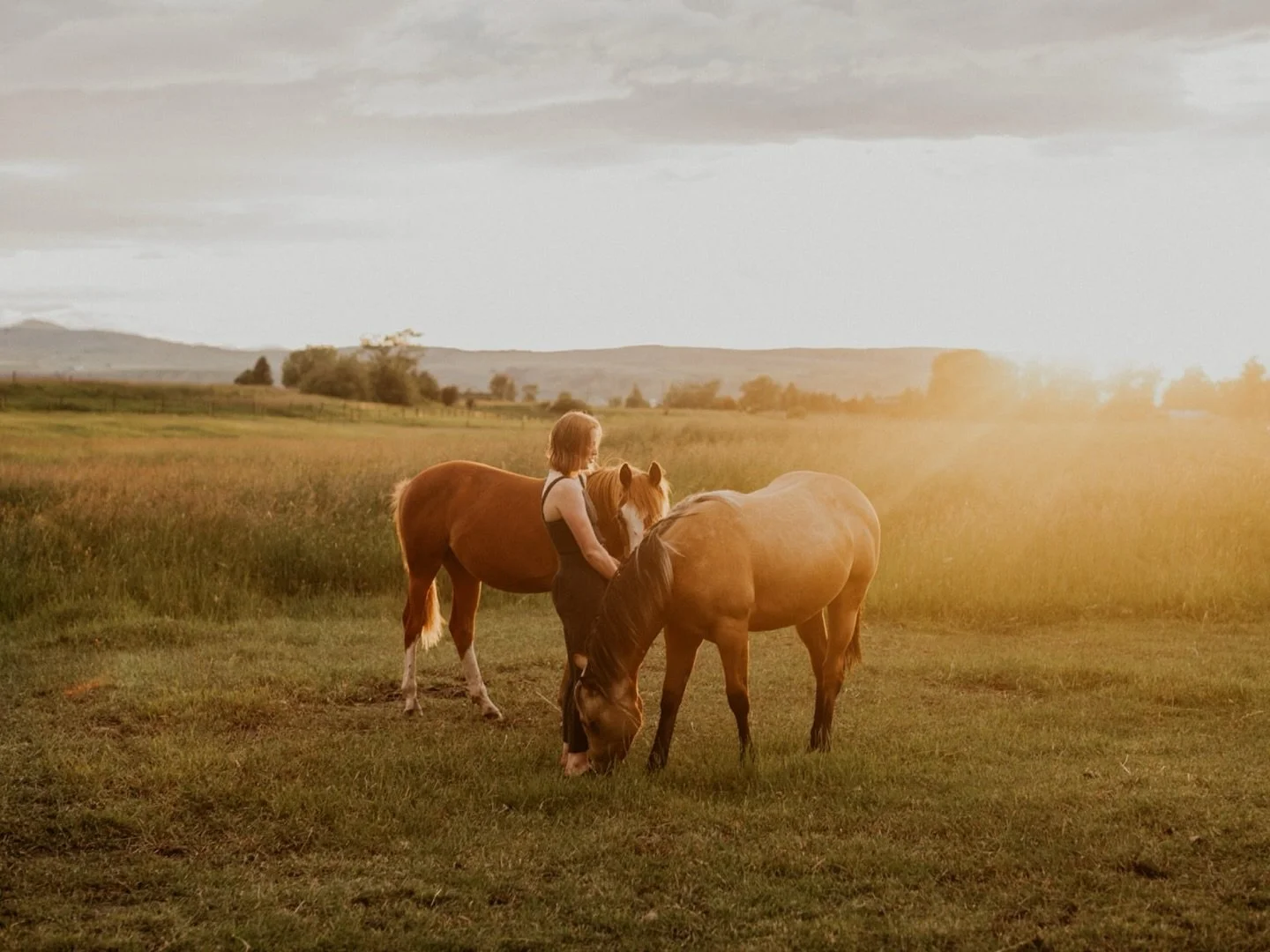 Dream summer night with Paige &amp; her pups &amp; the sweetest horses, under a hazy Montana sky in July &hearts;️