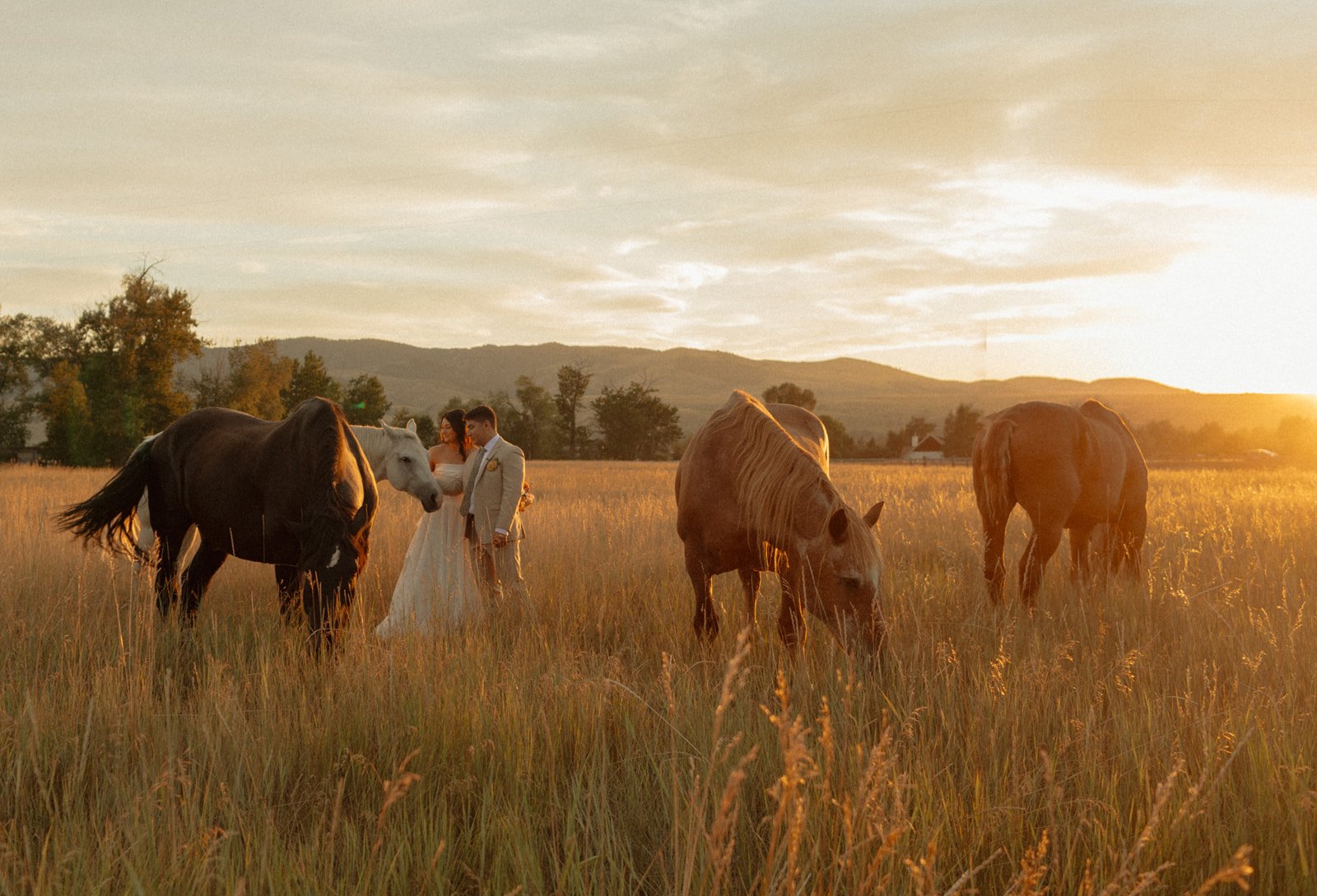 Western Wedding Portraits in Montana