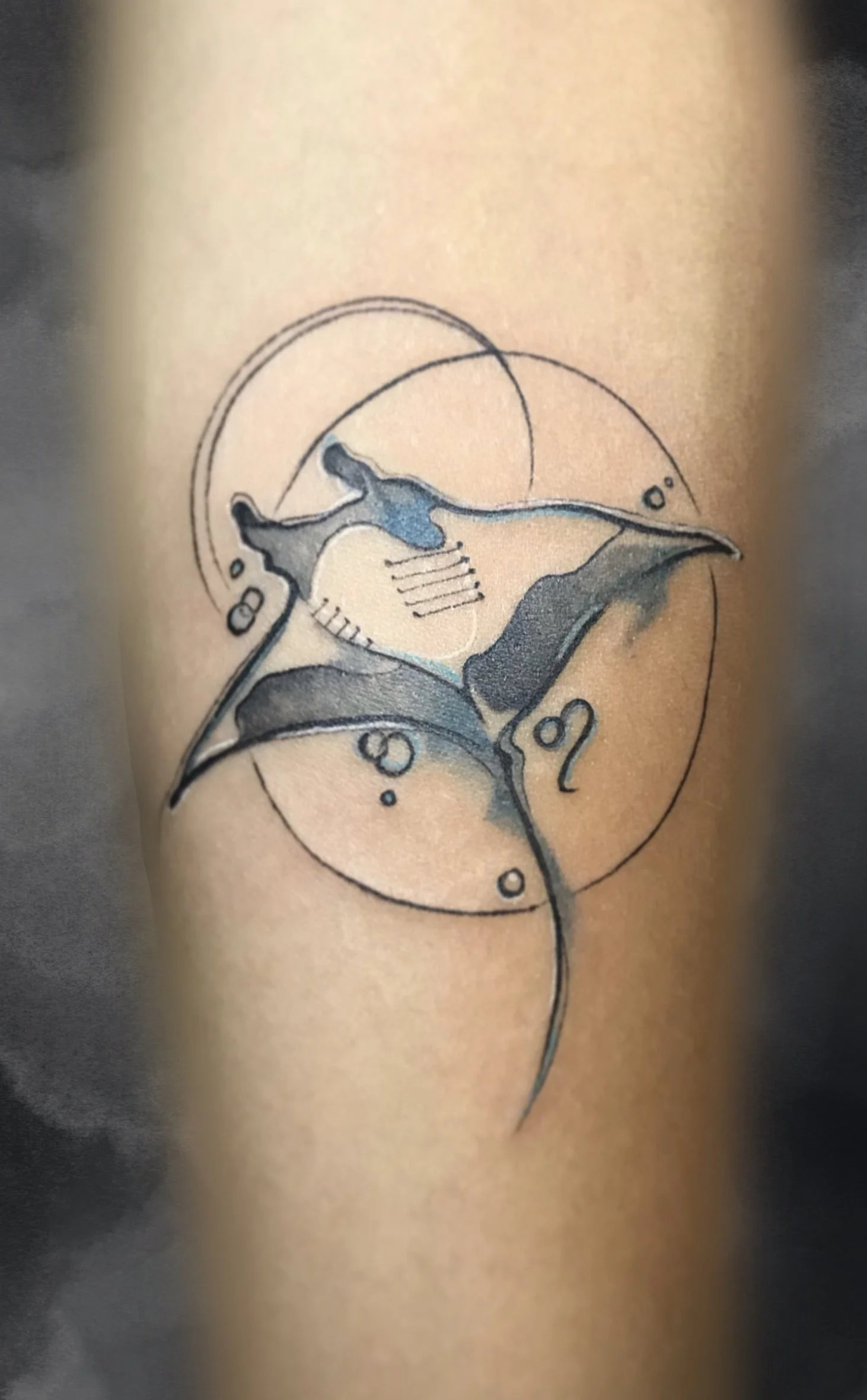 Clean_Display (3).jpg