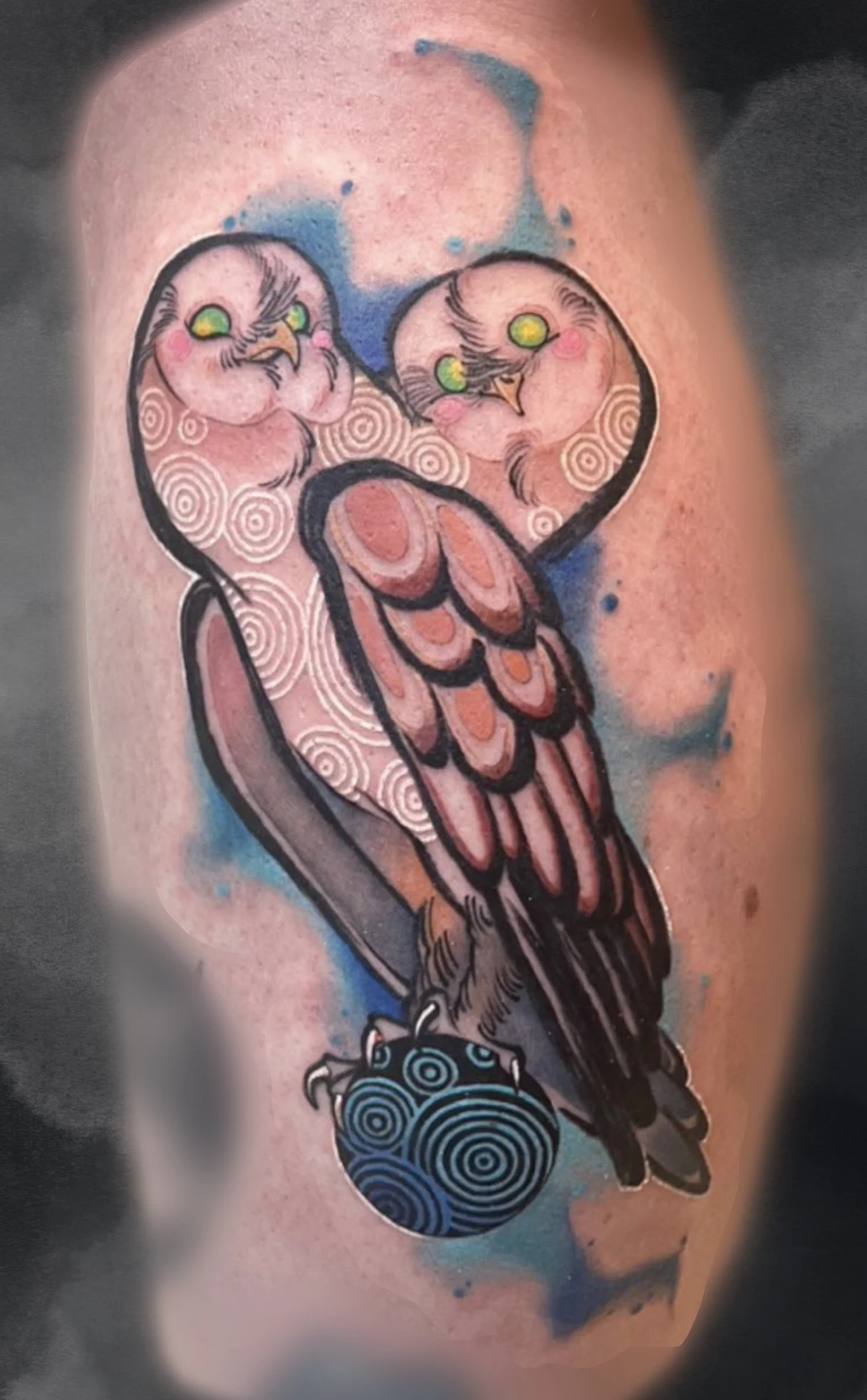 Clean_Display (7).jpg