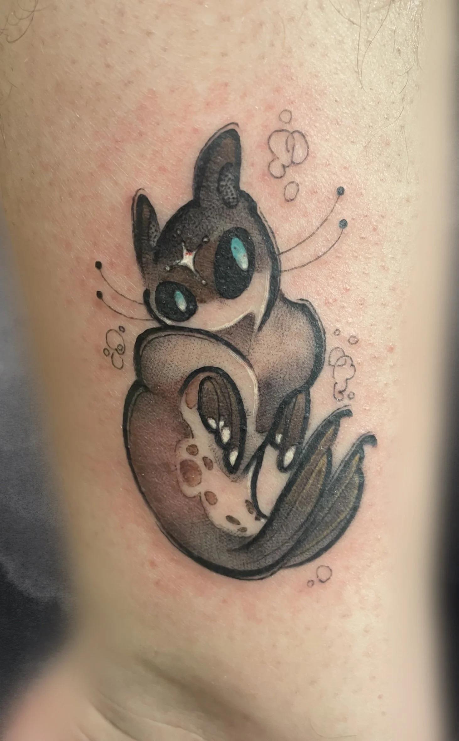 Clean_Display (4).jpg