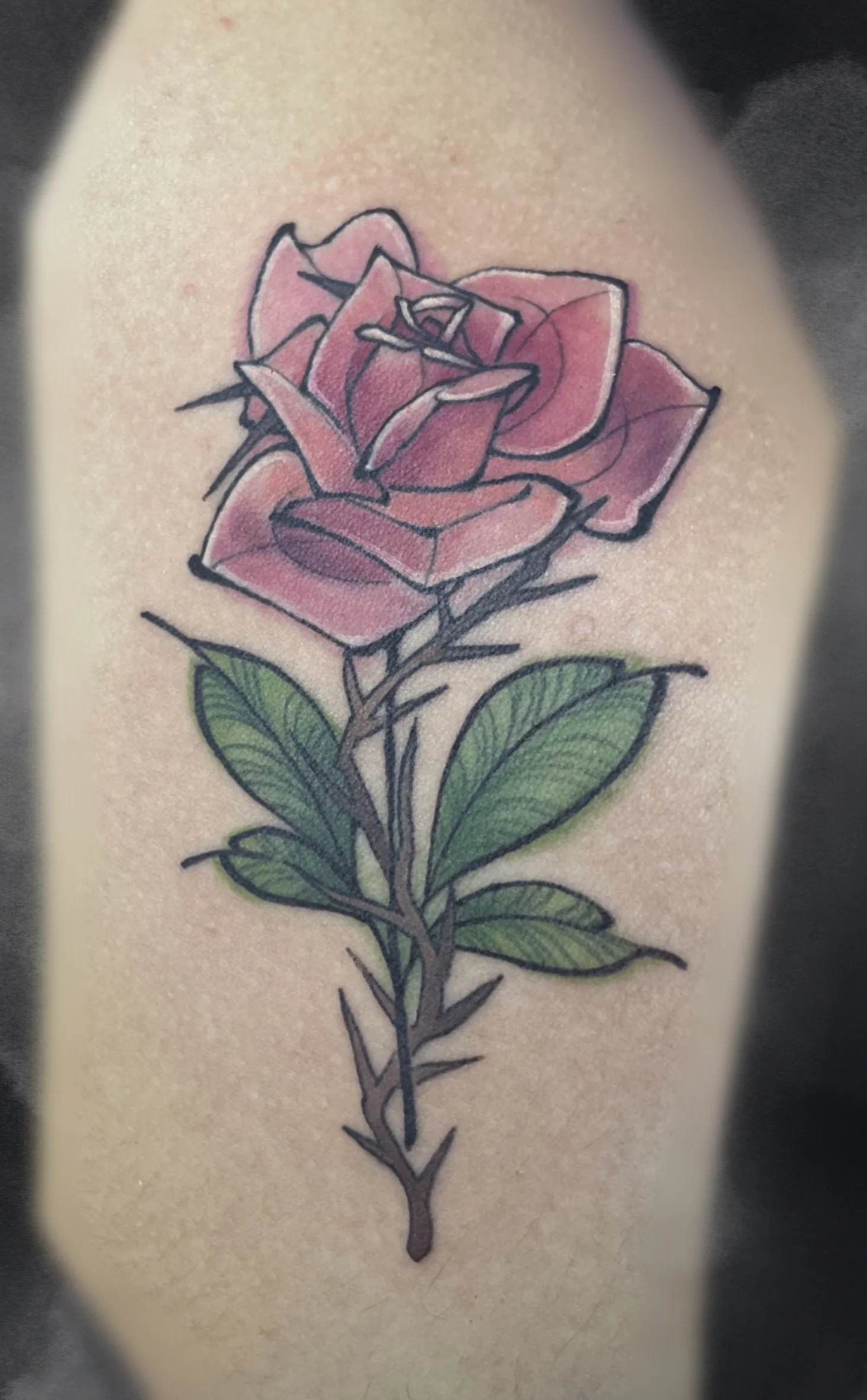 Clean_Display (8).jpg