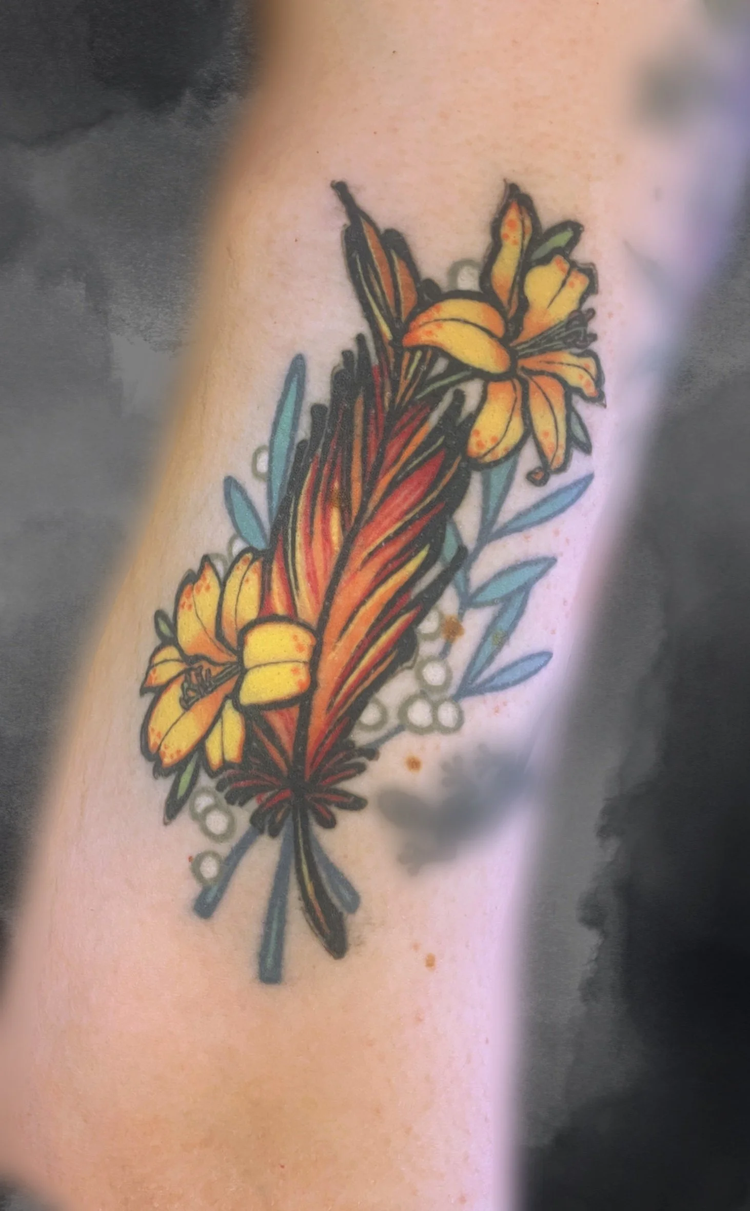 Clean_Display (1).jpg