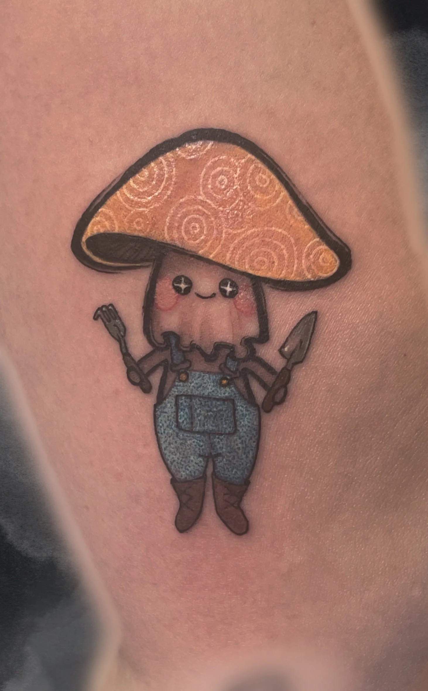 Clean_Display (5).jpg