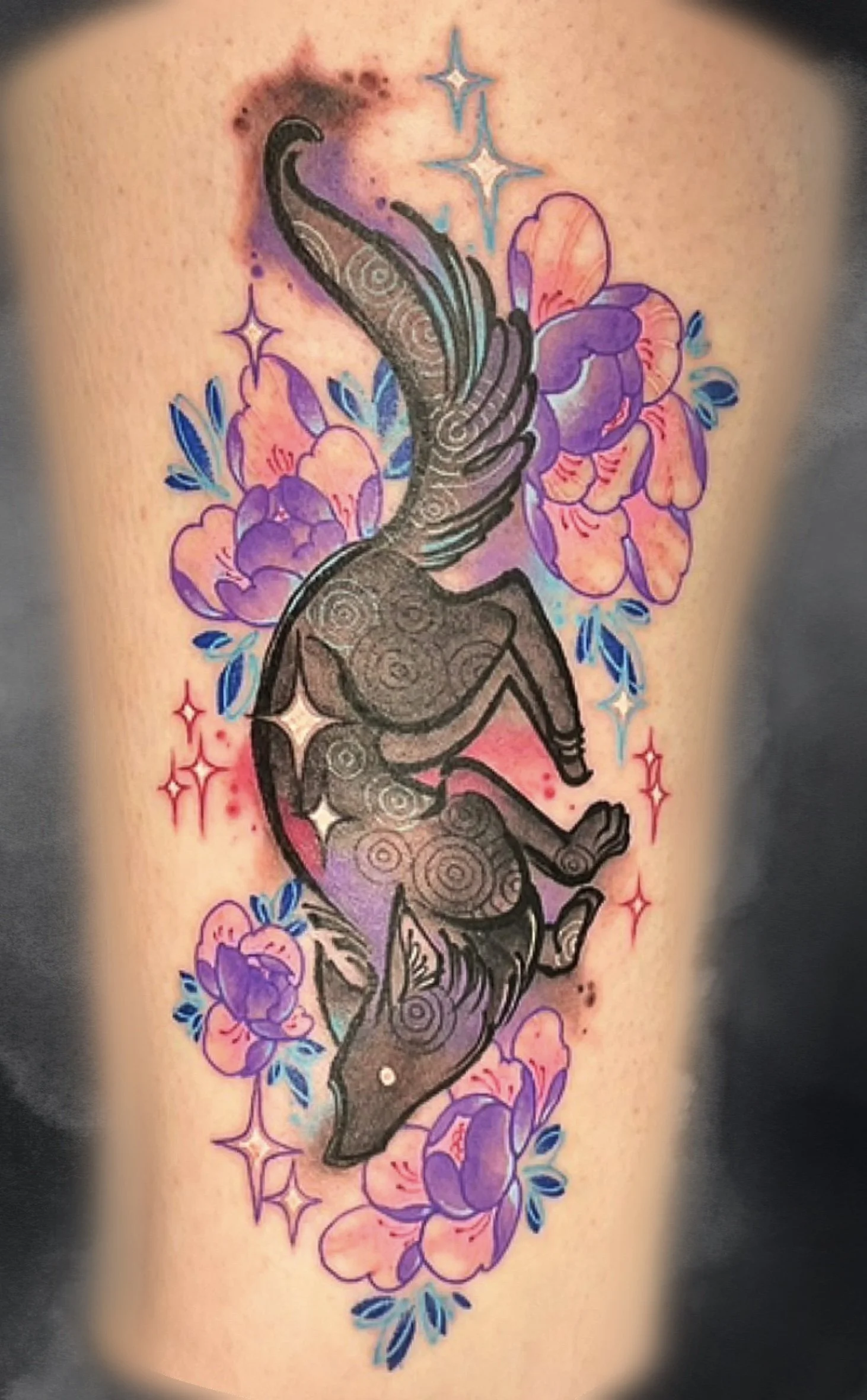 Clean_Display (6).jpg