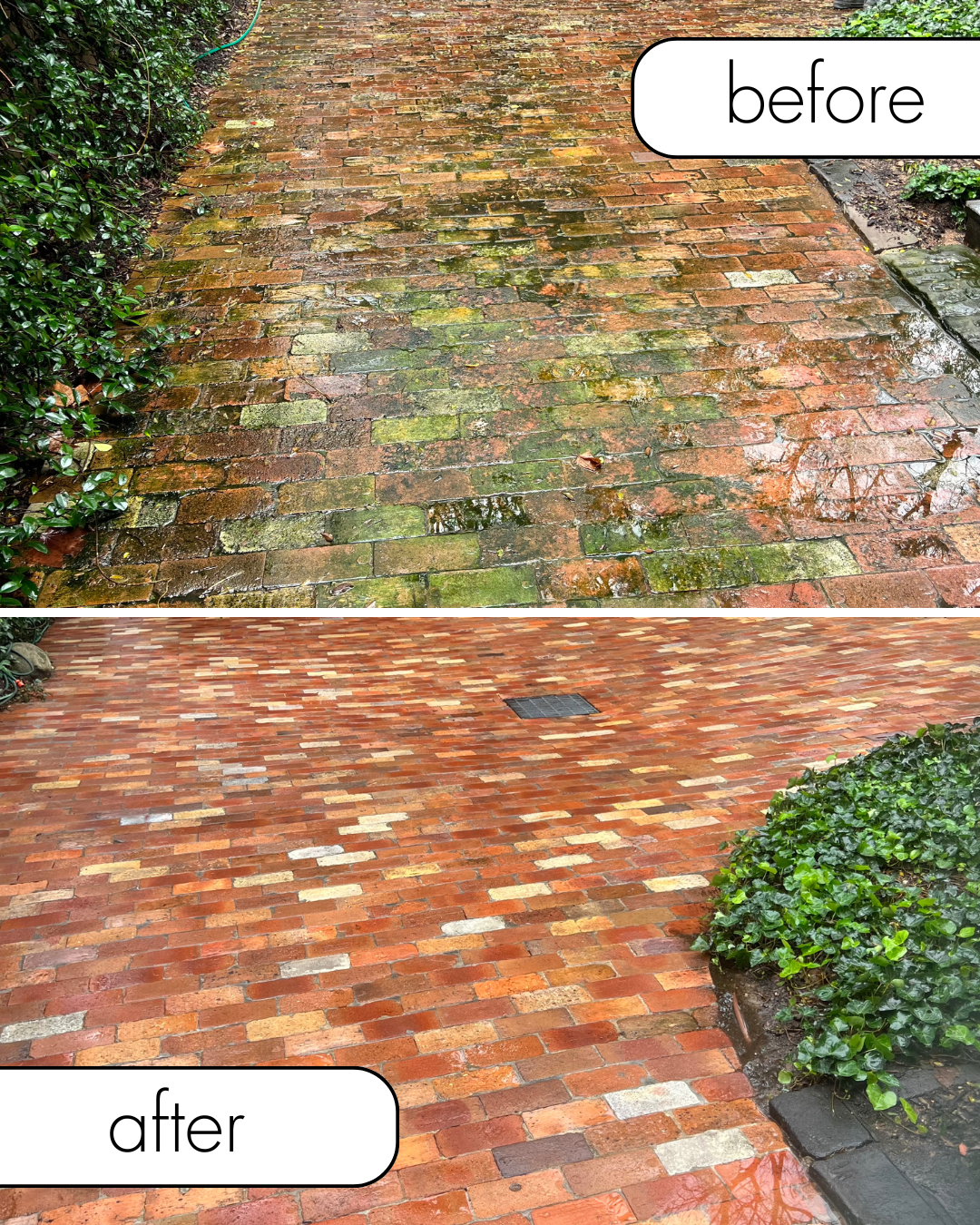Comparison of a dirty, mossy brick walkway before cleaning and a clean, restored brick walkway after cleaning.