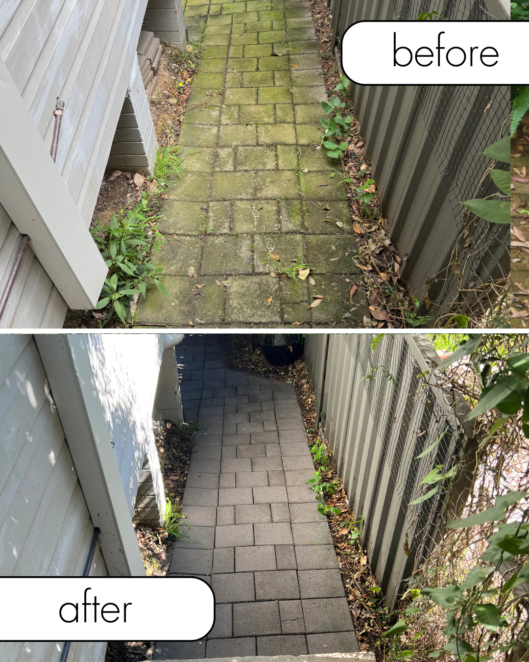 Comparison of a backyard pathway before and after cleaning and resurfacing. The 'before' section shows mossy and dirty pavers with leaves and weeds, while the 'after' section shows clean, new, and neatly arranged pavers.