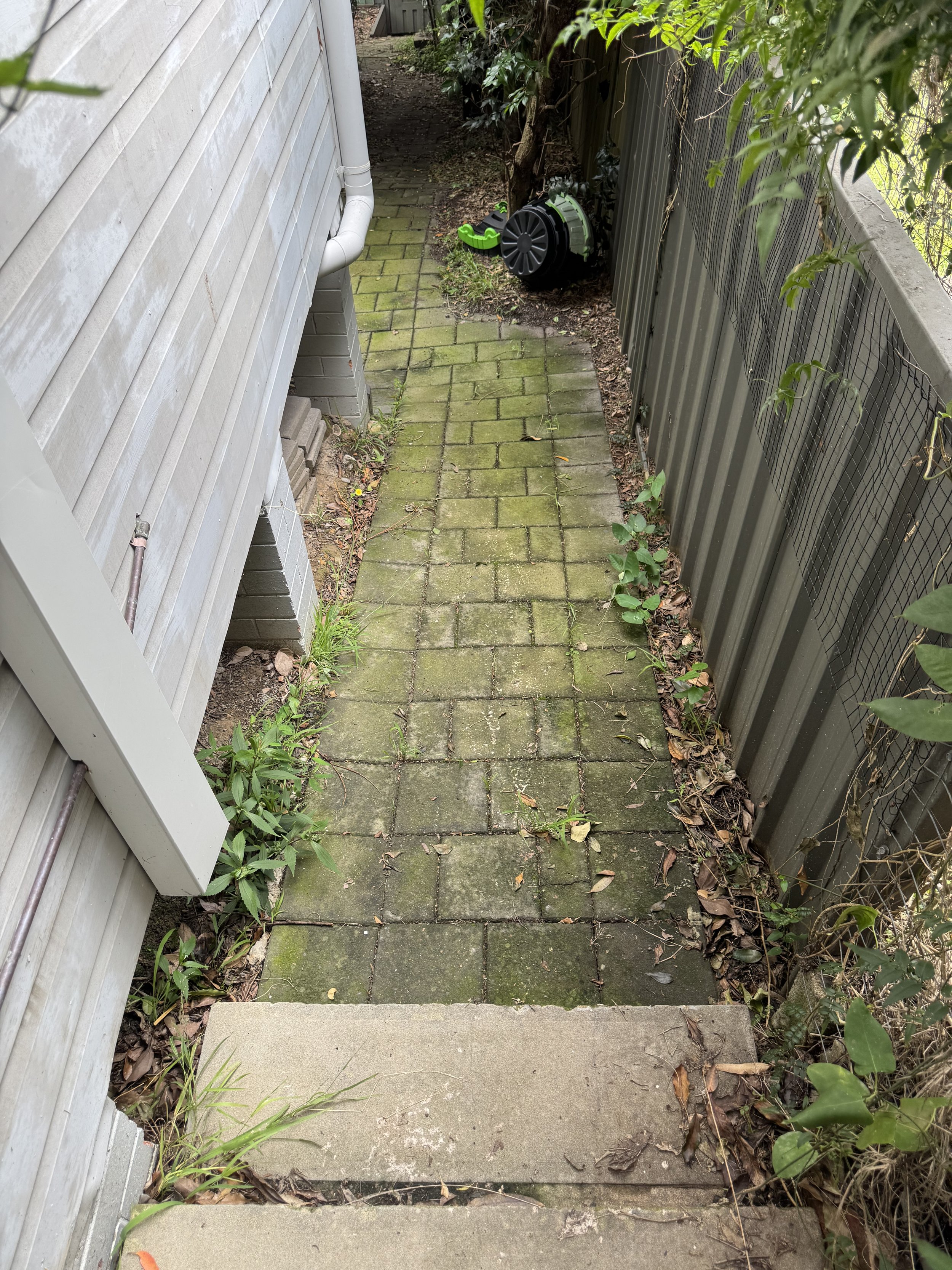 BEFORE