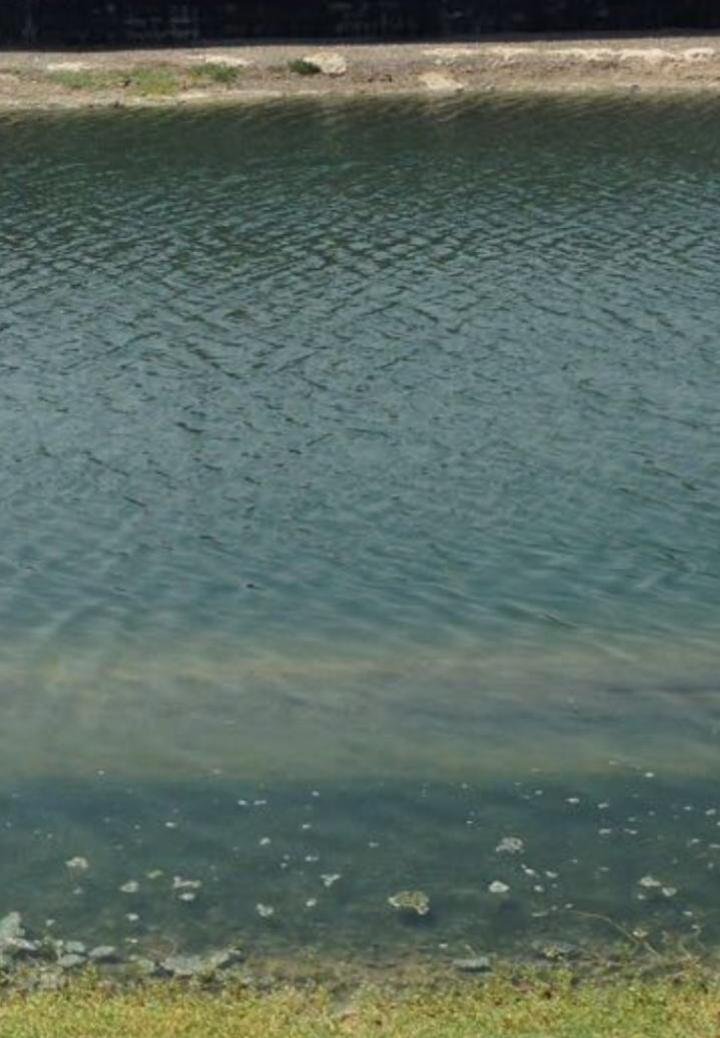 thumbnail_PHOTO-2017-10-15-20-08-59.jpg
