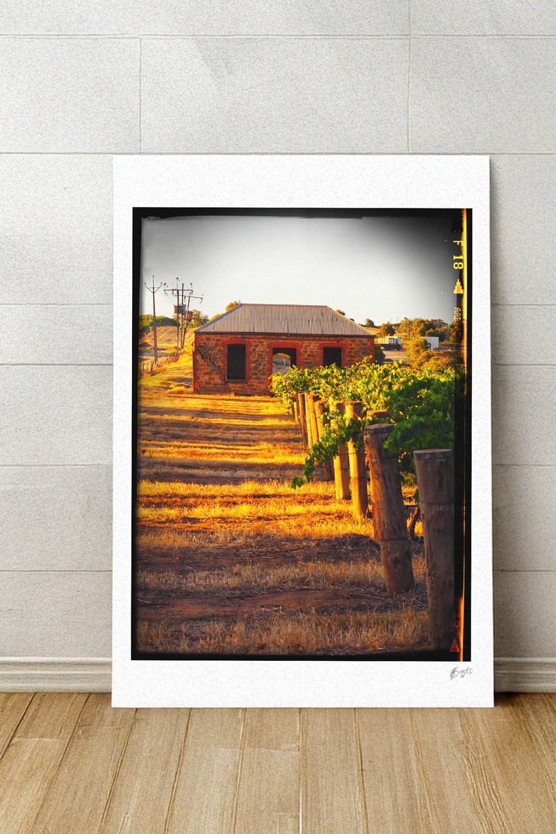 Cottage-Amongst-Vines--Barossa-Valley-Metal-Backing.jpg