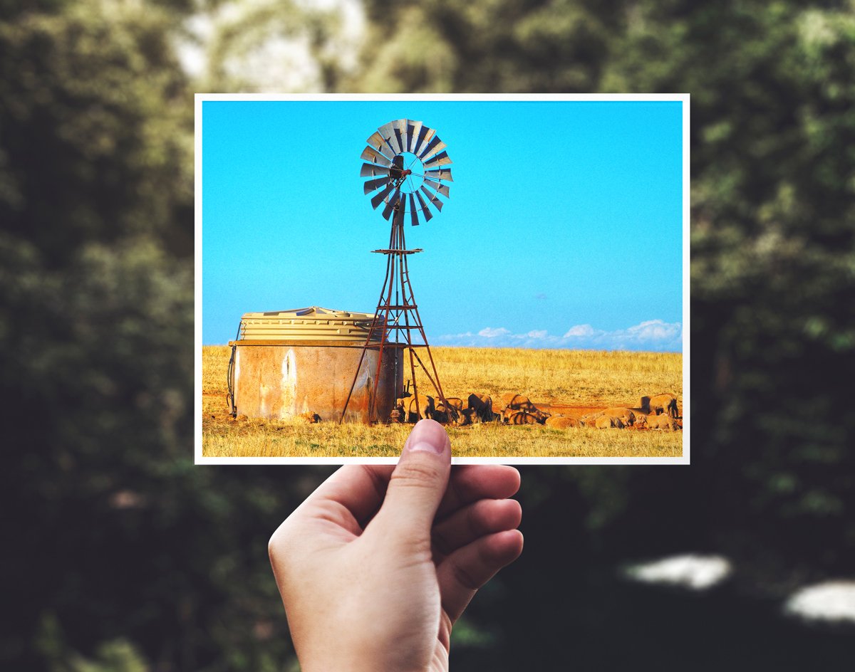 tanked-postcard.jpg