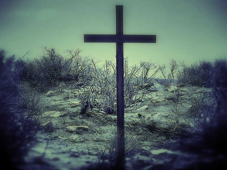 Outback-Cross.jpg