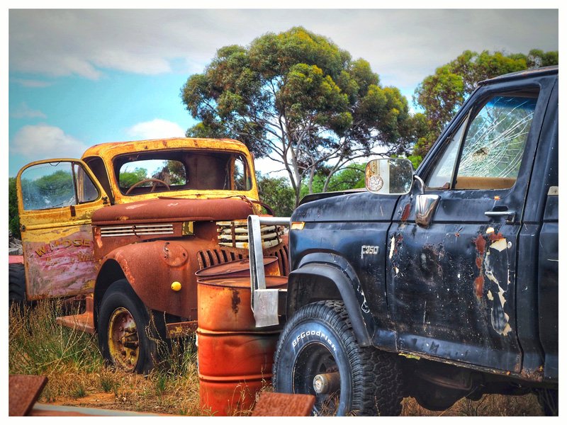 Head-On-1948-Military-Chev-&-F100.jpg