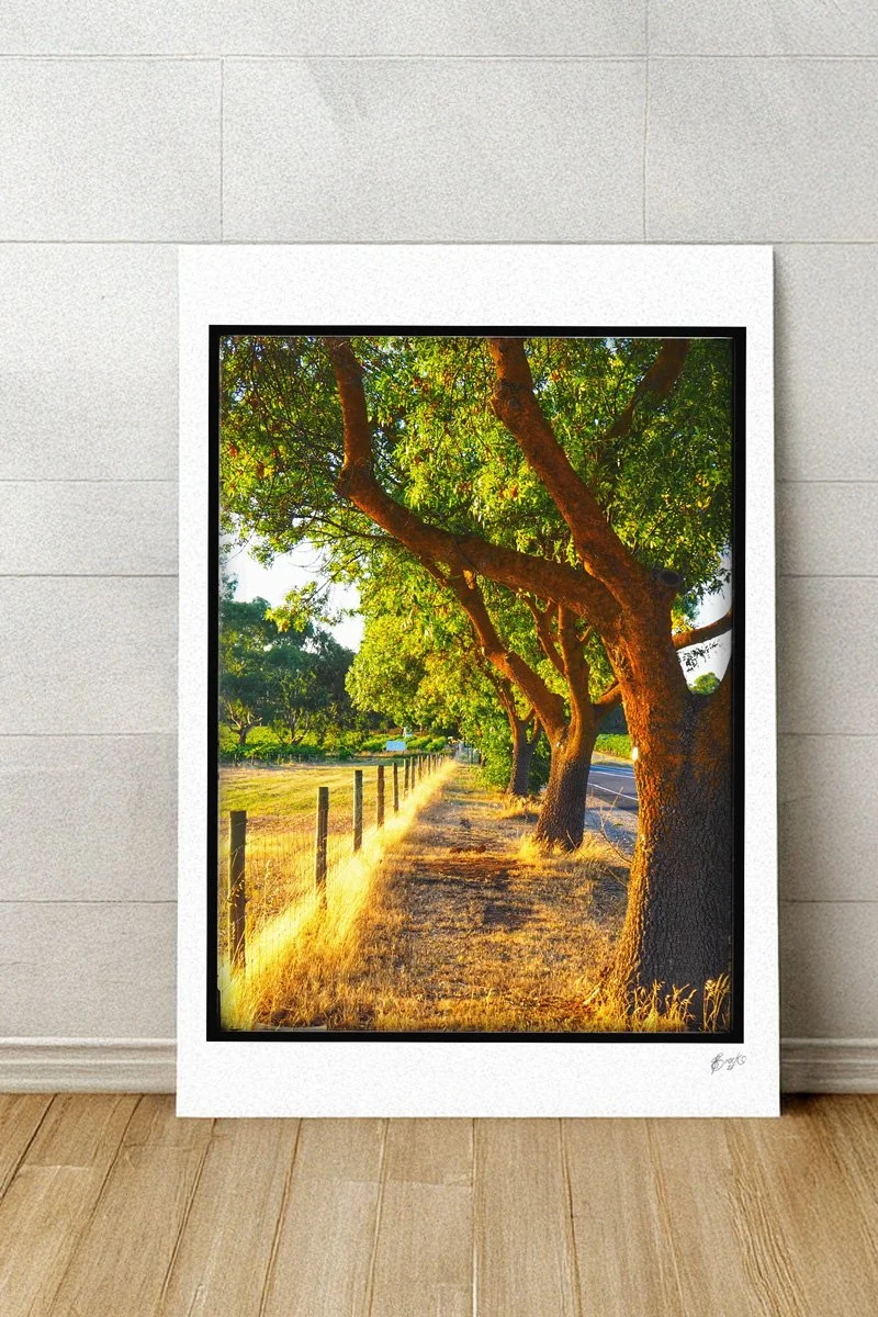 Lyndoch-Gold-Metal-Backing.jpg