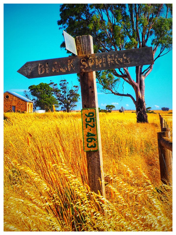 Black-Springs--Mid-North.jpg