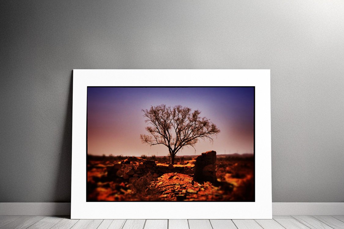 Joshua-Tree-metal-backing.jpg