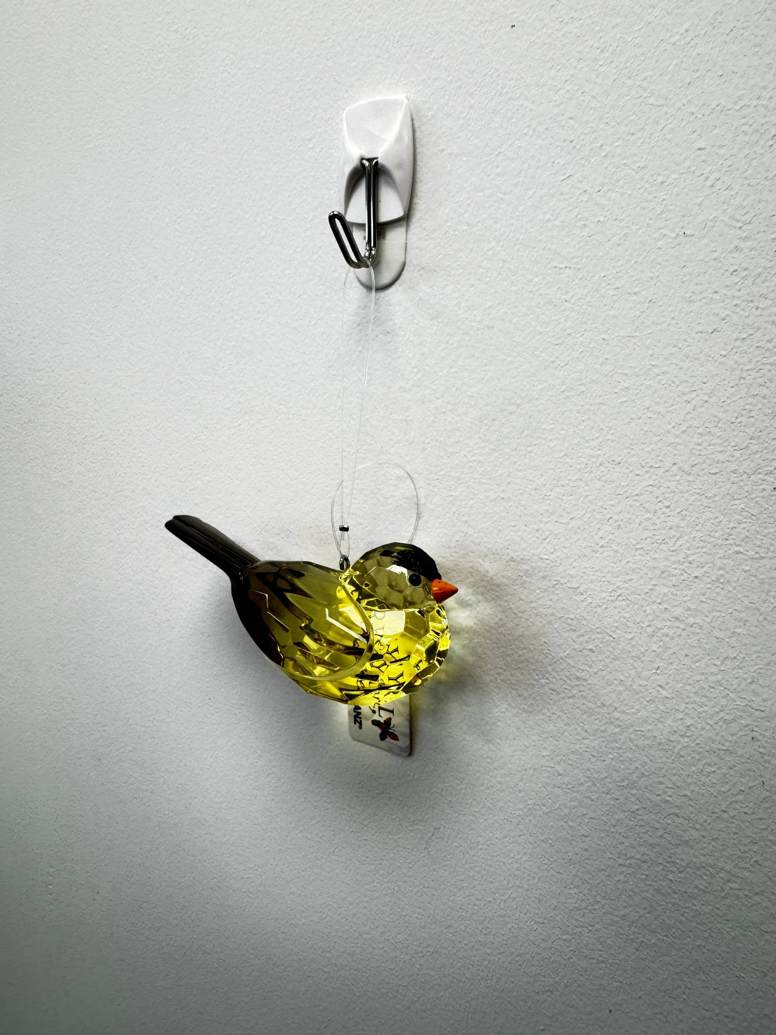 Black/Yellow Bird, Sparkly Head