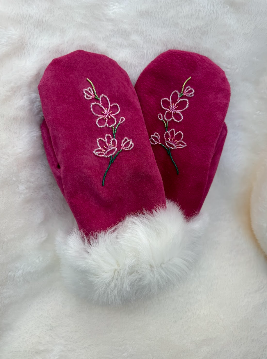 Screenshot 2026-02-14 110554.png