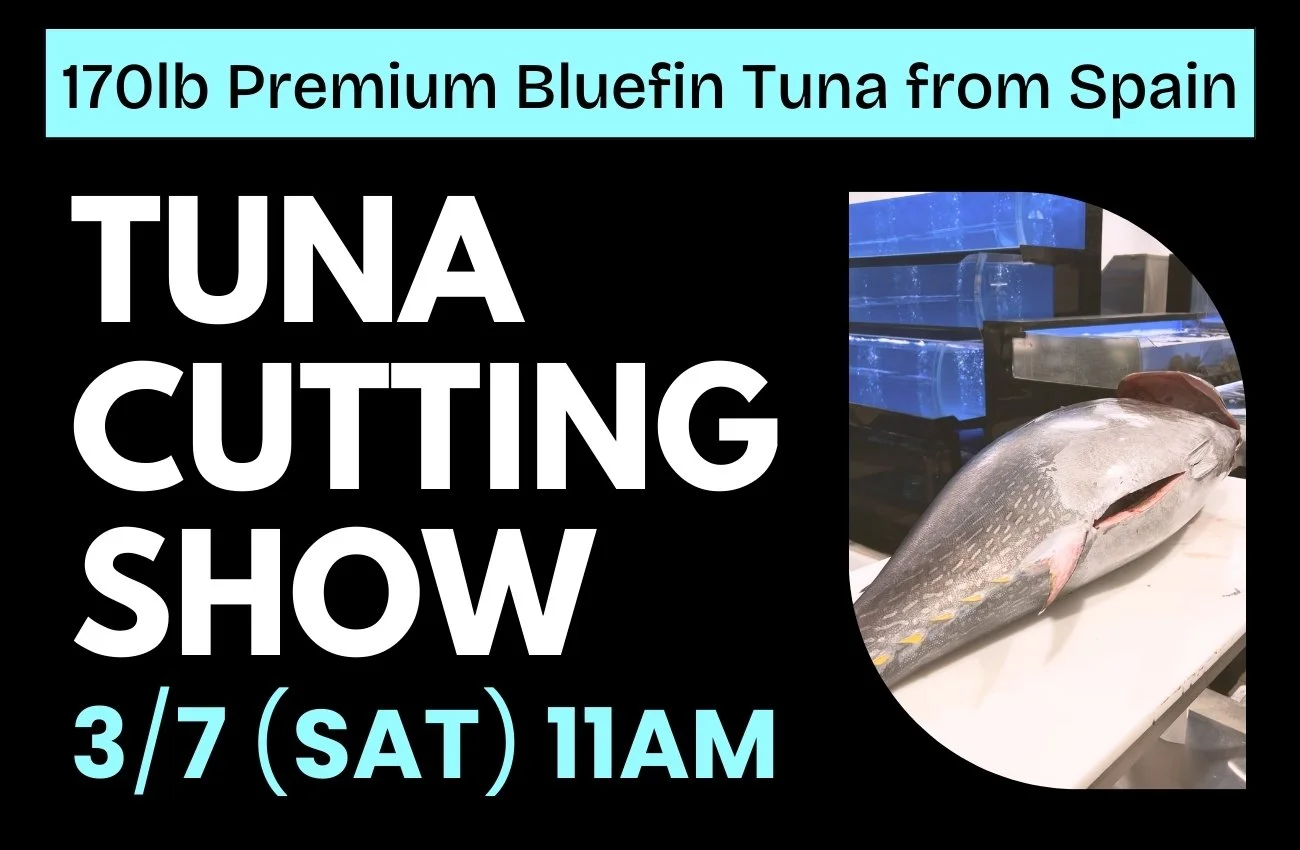 Premium Bluefin Tuna Show