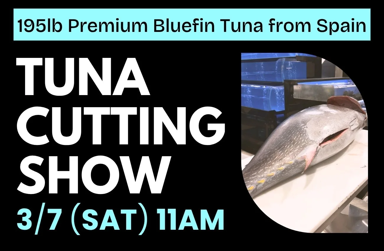 Premium Bluefin Tuna Show