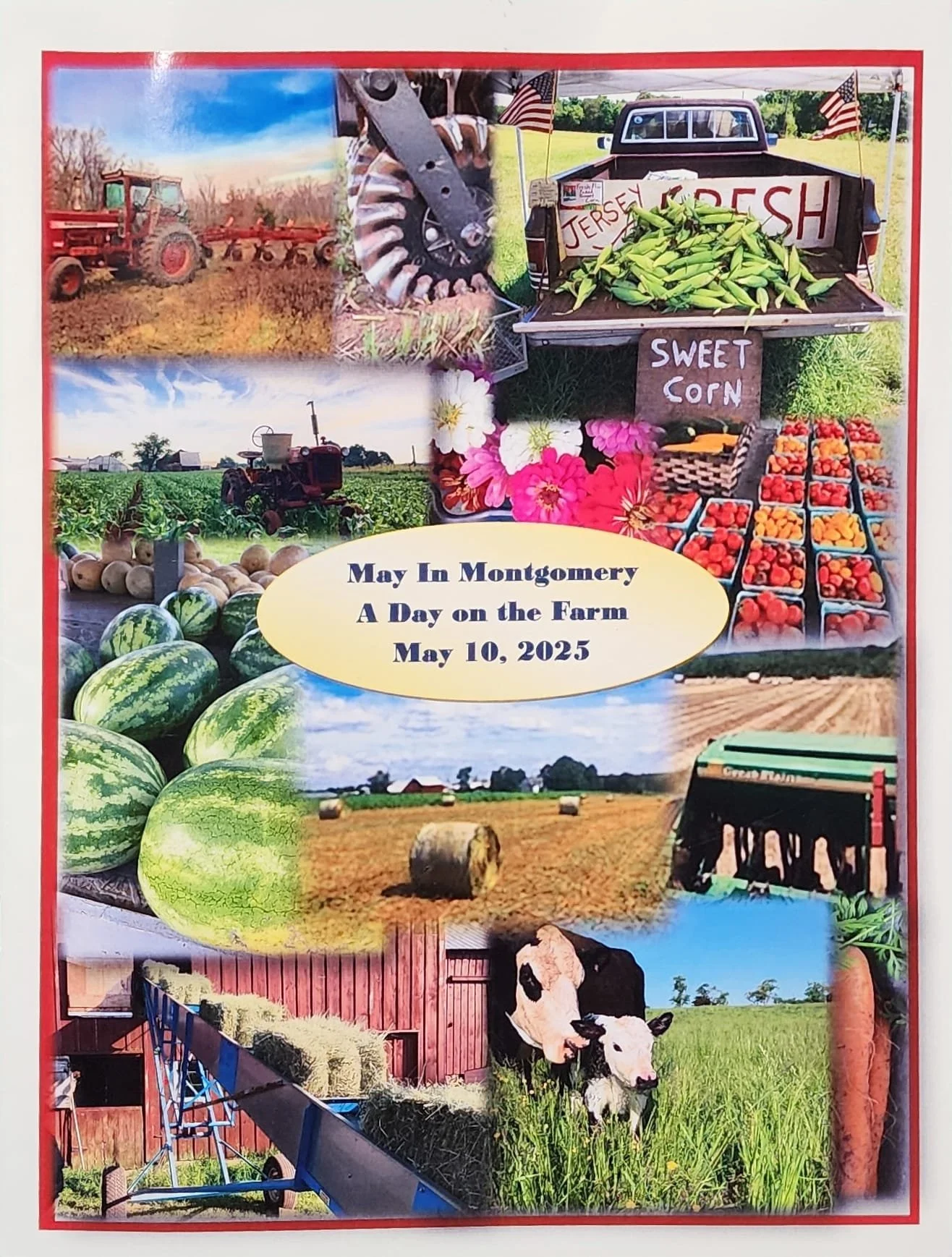 WhatsApp Image 2025-07-08 at 19.32.46.jpeg