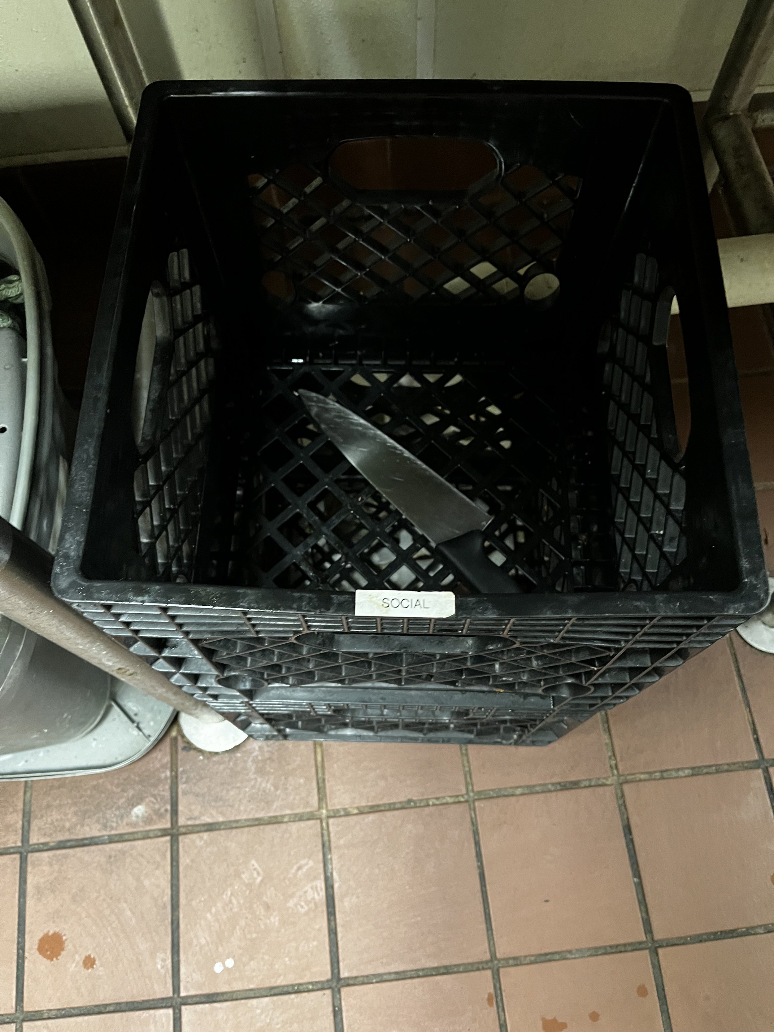 IMG_4050.jpeg
