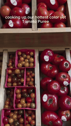 Adobe Express - SnapInsta.to_AQOJ4EW8-LwERs3tvsPx2MVnuPzsKI5Oz8syd11_X3NDEvipRZYaWX1Swijrcwl8HwuLAfpr7tNUdZfi901Id2-14DD4-TBWSfgbQFo.gif