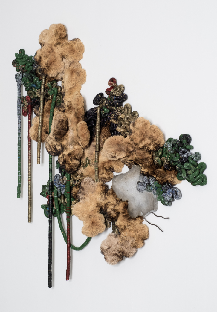 Screenshot 2026-02-12 at 4.08.12 PM.png