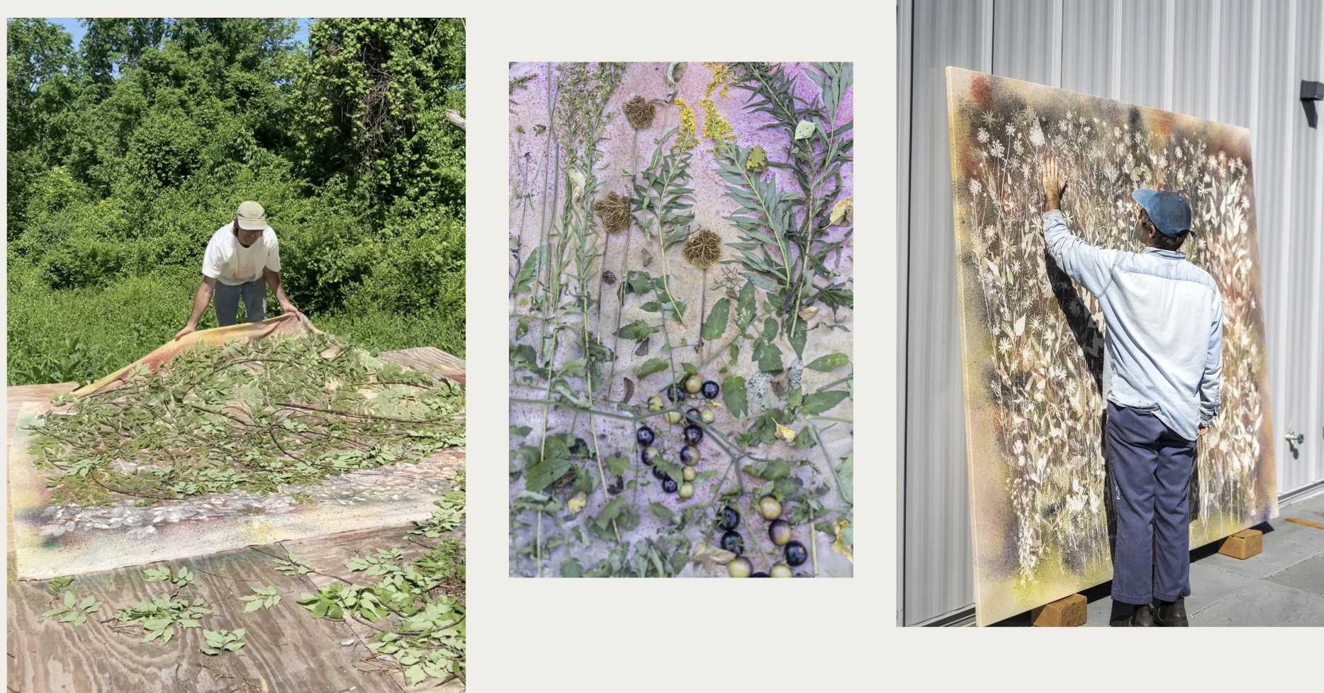 Screenshot 2026-02-12 at 12.45.40 PM.png