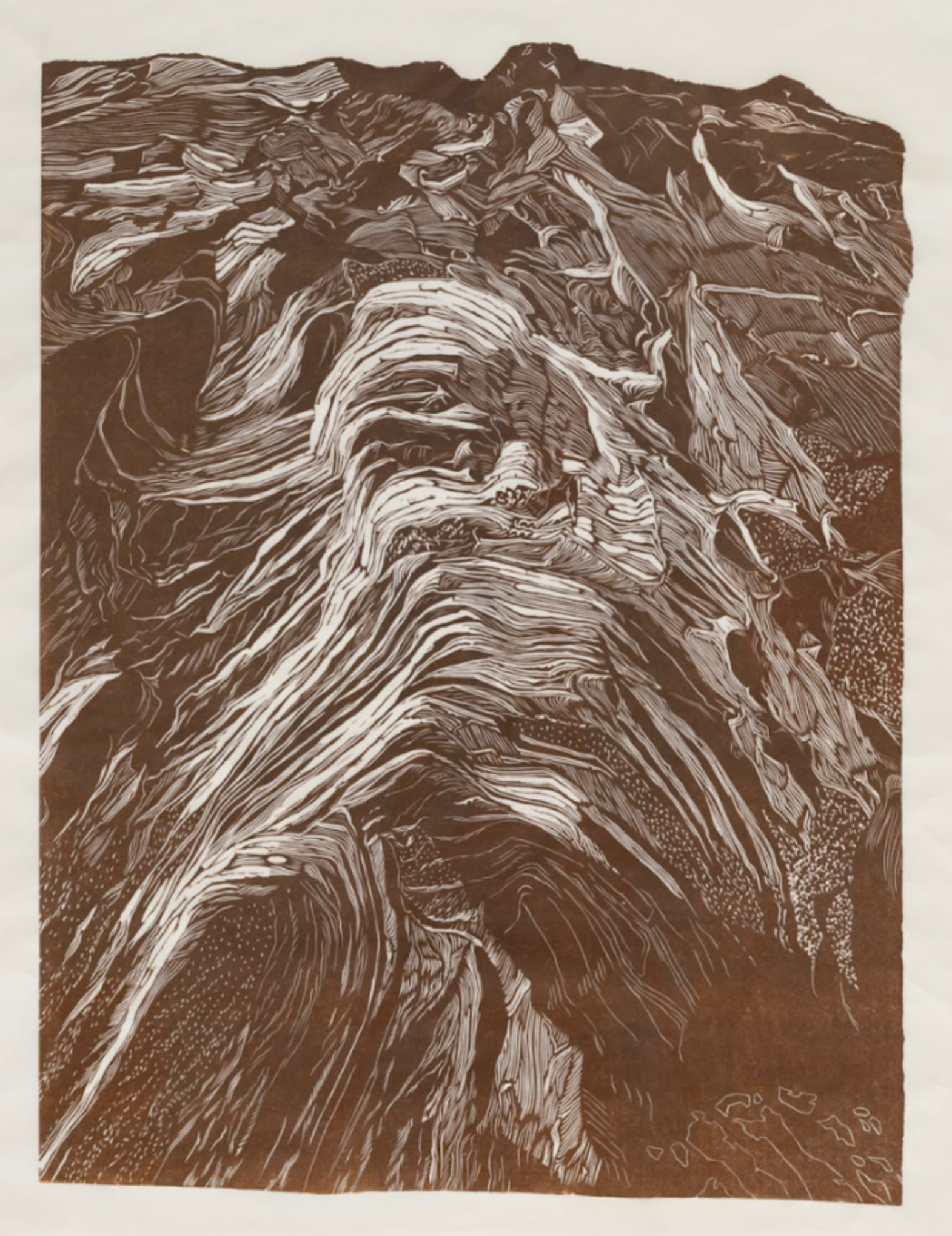 Screenshot 2026-02-13 at 4.48.53 PM.png