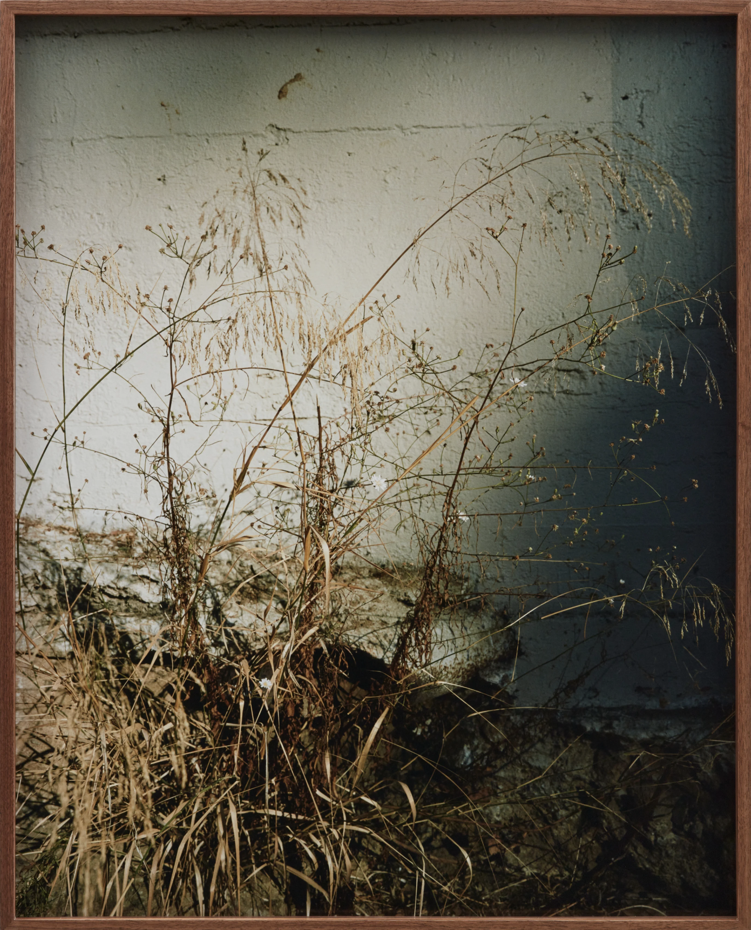 Screenshot 2026-02-13 at 2.46.25 PM.png