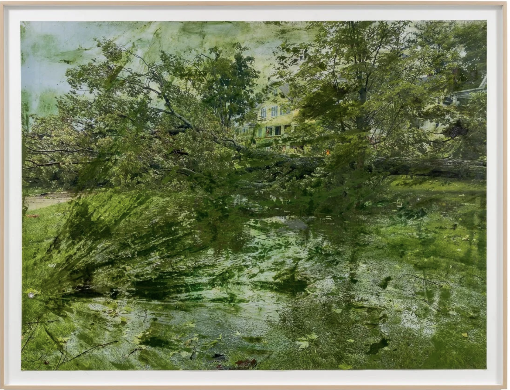 Screenshot 2026-01-29 at 4.43.36 PM.png