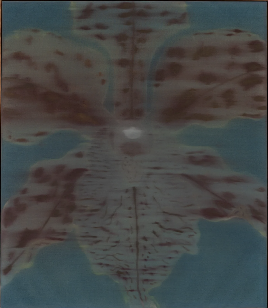 Screenshot 2026-05-29 at 5.43.46 PM.png
