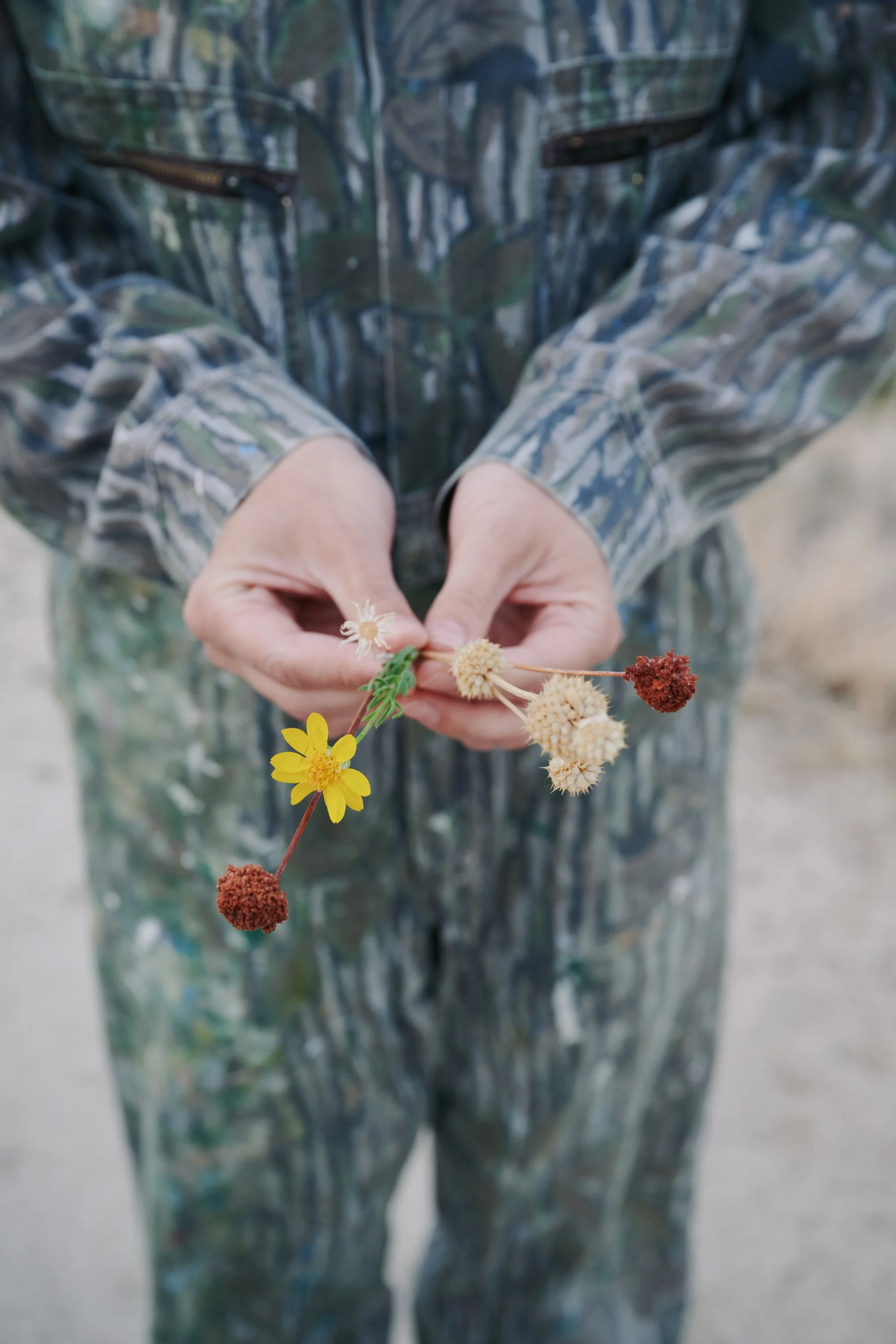 Person wearing camouflage clothing holding a small branch with colorful wildflowers and seed heads.