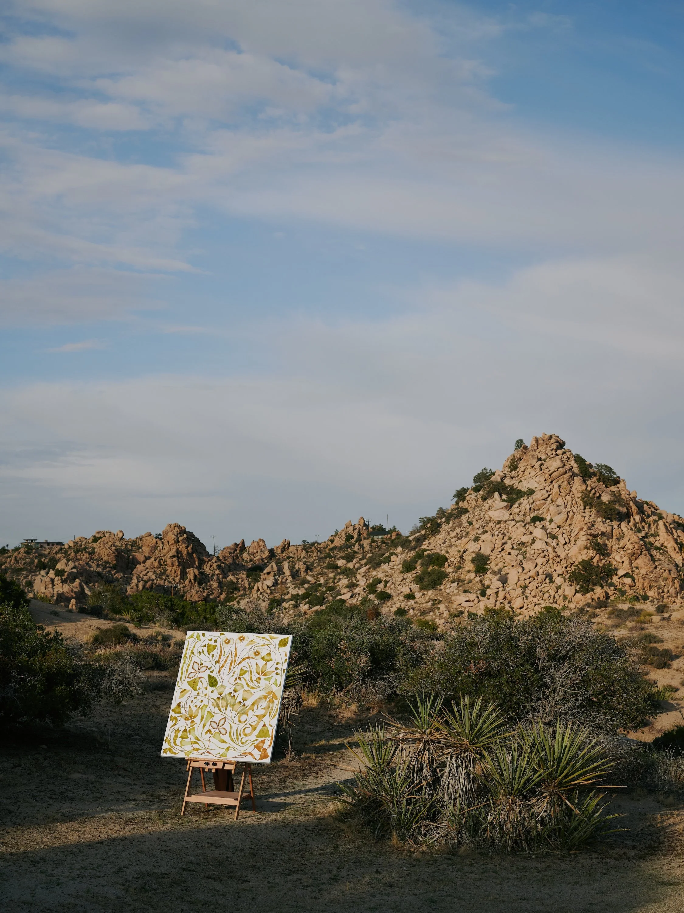 An outdoor scene with an easel holding a large canvas with abstract yellow and brown patterns, set in a desert landscape with rocks, bushes, and a partly cloudy sky.