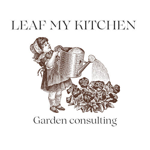 Kitchen Garden Consultation