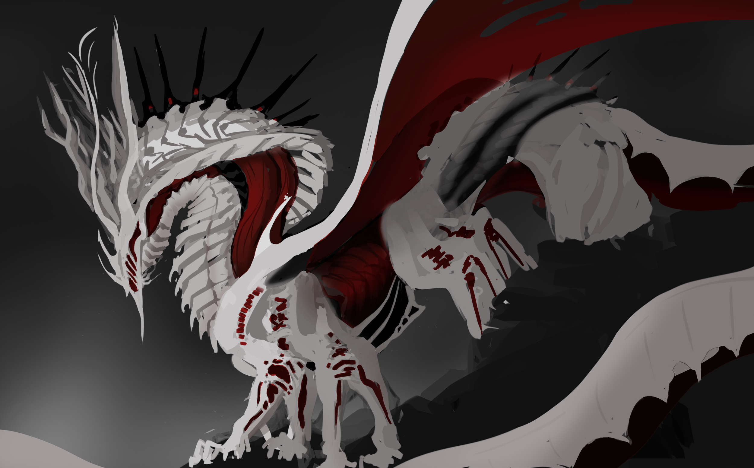 Website Banner Redo.png