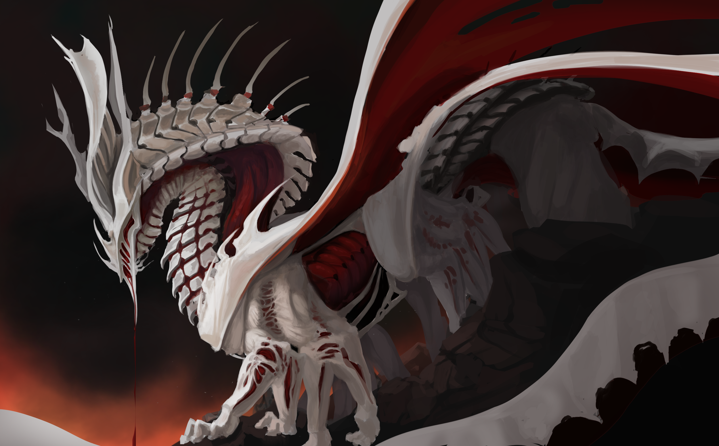 Website Banner.png