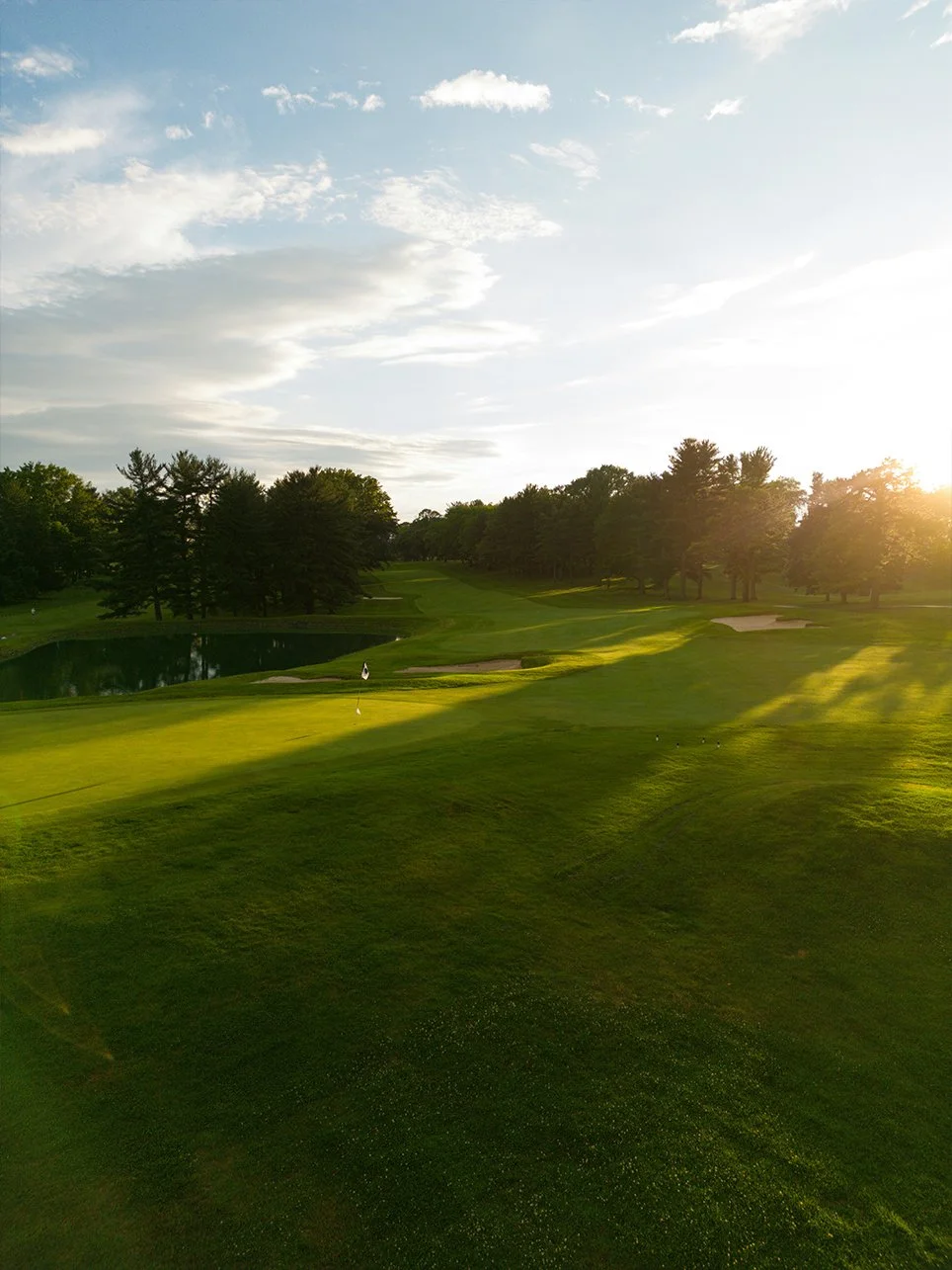 Sporting Grounds Tree Trimming | Golf Tree Care Services Southwest Victoria