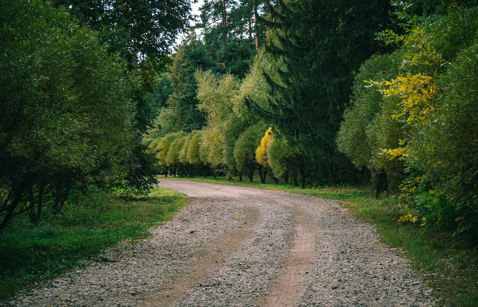 Rural, lifestyle and equine tree care service in Southwest Victoria | Tree care services near me