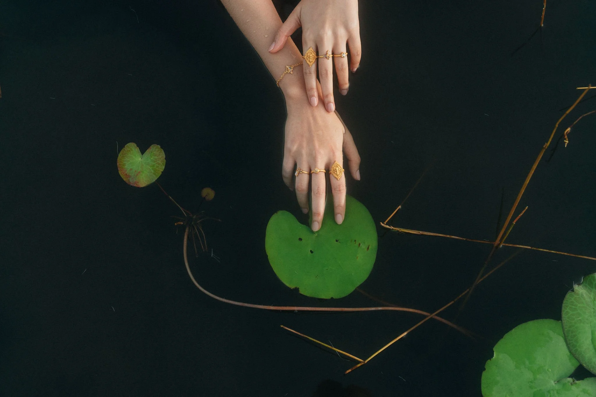 ananda-soul-astrid-chu-dean-raphael-embracing-life-6.jpg