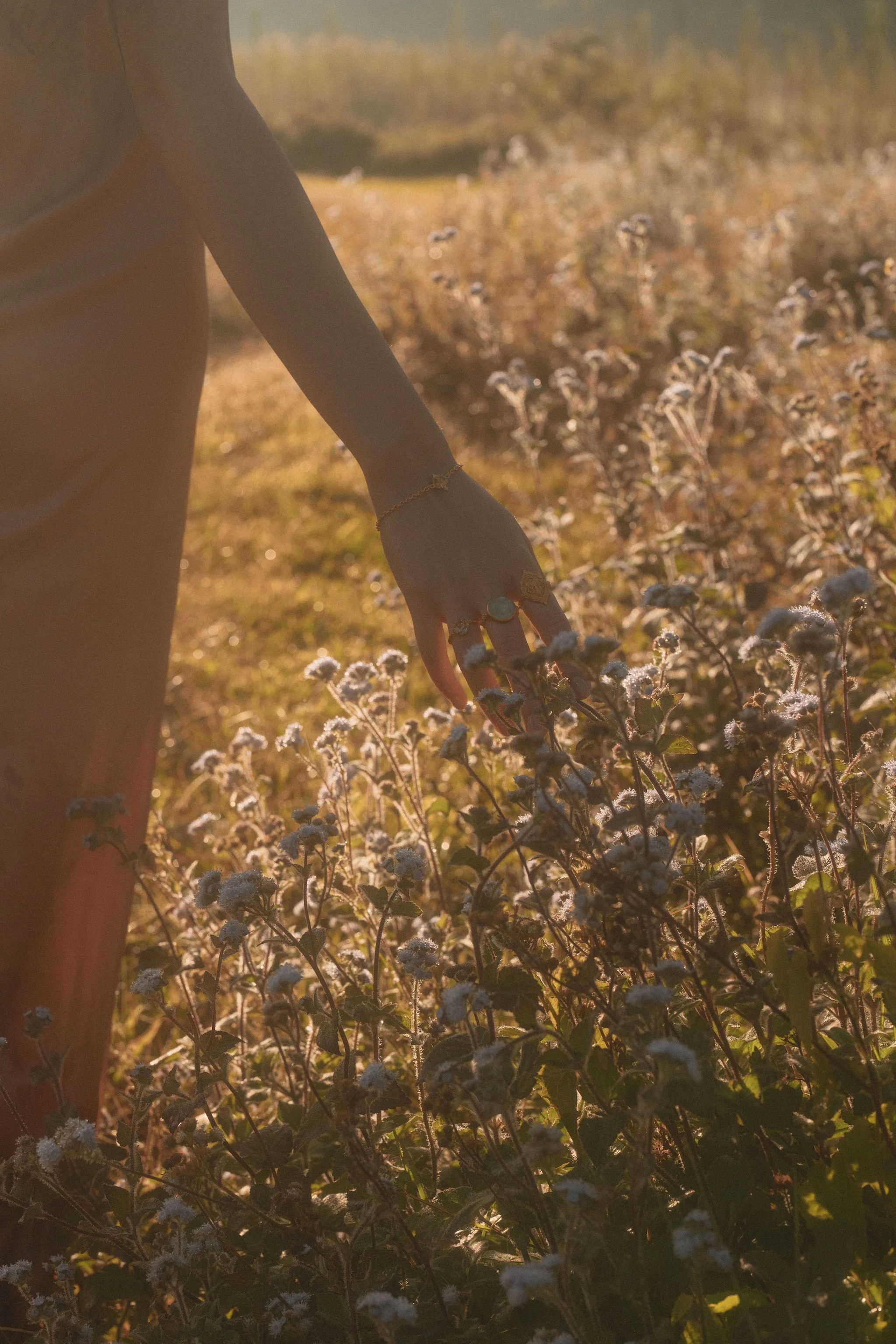 ananda-soul-astrid-chu-dean-raphael-embracing-life-13.jpg