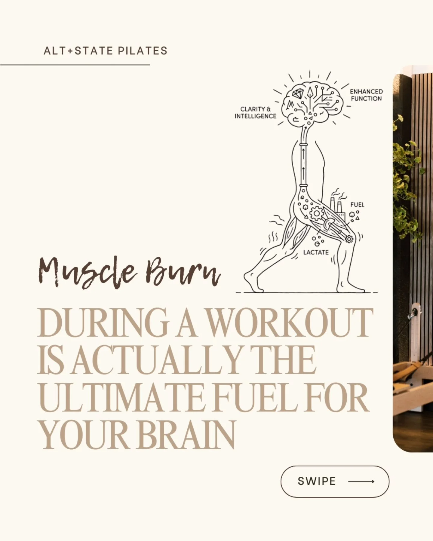 💪 Strong bodies, strong minds 🧠 That's what we're about. 
#alteryourstate #altstatepilates #strength #mobility #fitnessforlife