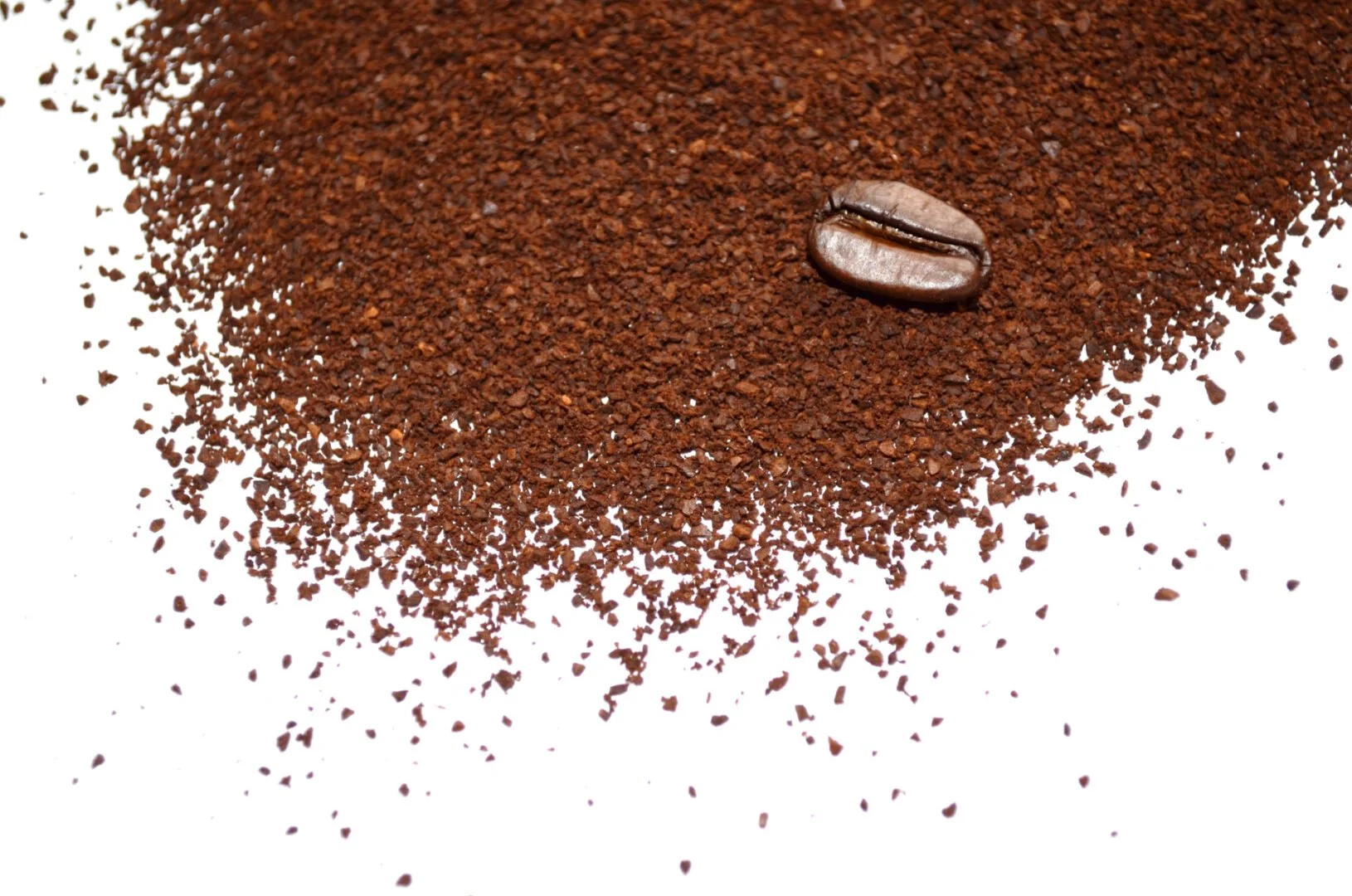 Coffee grounds and a coffee bean on a white background