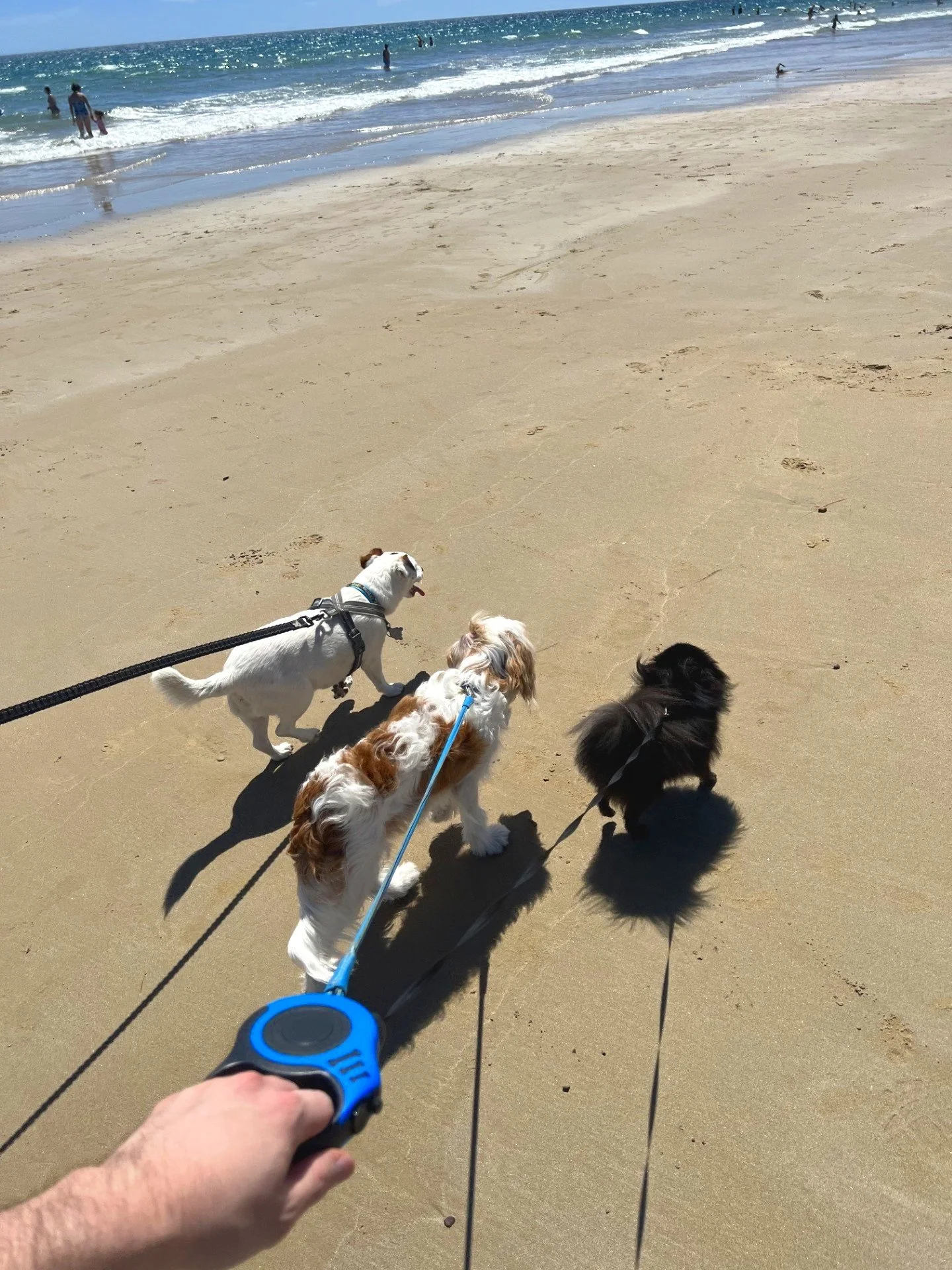 beach2.jpg