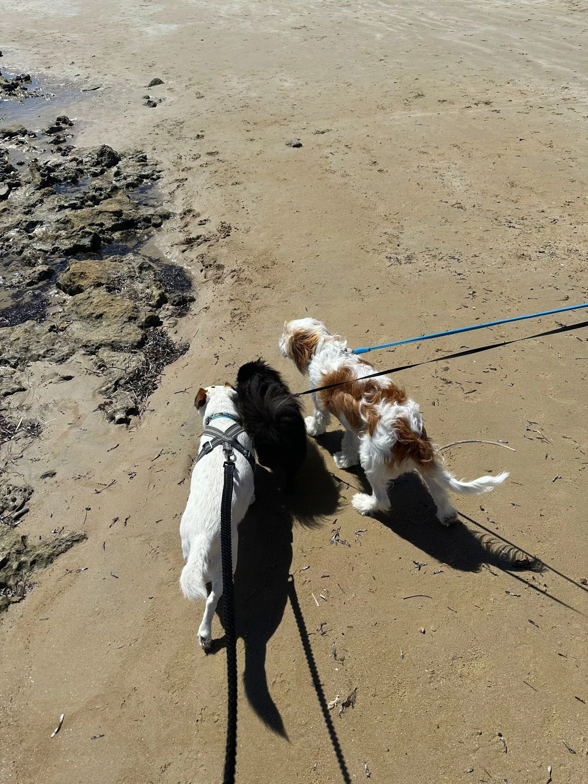 beach1.jpg
