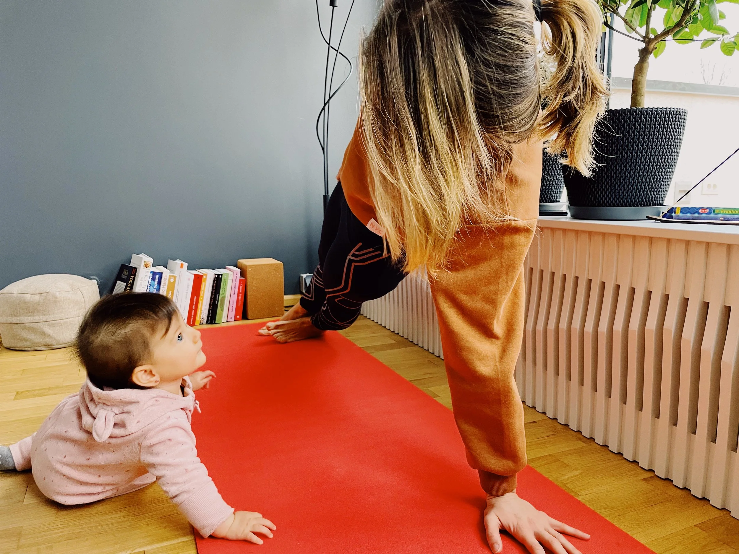 Cum m-am indragostit de Ayurveda&nbsp;